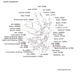 ATJ5517diagramHW