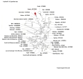 ATJ7533 - Hi/Lo Knob