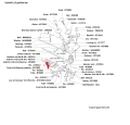 ATJ7892diagramHW