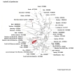 NT1140diagramHW