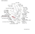 NT5175diagramHW