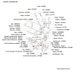 NT6005diagramHW