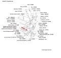 NT6114diagramHW