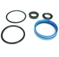 18G9130 - Ram seal kit