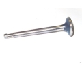 1H1323 - Exhaust valve (petrol/gas engine)