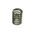 AMK81 - Valve spring outer