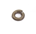 GHF331 - Spring washer 1/4inch