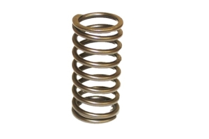 12H214 - Inner valve Spring