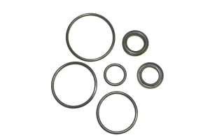 18G8339 - Ram seal kit