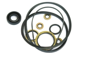 18G9006 - Power steering pump seal kit (Perkins)