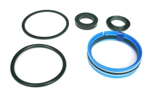 18G9130 - Ram seal kit