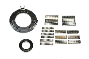 433 0226 10 - David Brown Pressure Plate Kit 10inch