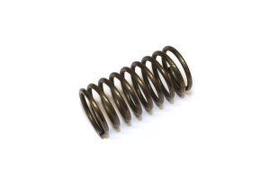 7H2401 - Valve spring