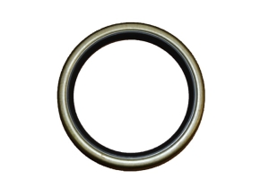 88G623 - Hub oil seal (Leyland 285, 2100)