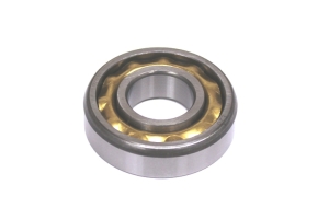 AAK15 - Cam bearing
