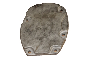 BTJ310 - Brake cover plate L/H - Used