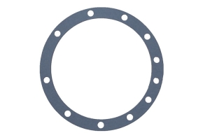 BTJ343 - Gasket 0.020