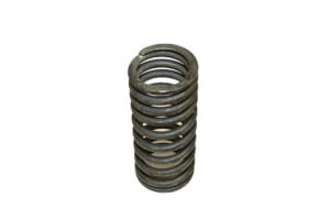 C4134 Valve spring