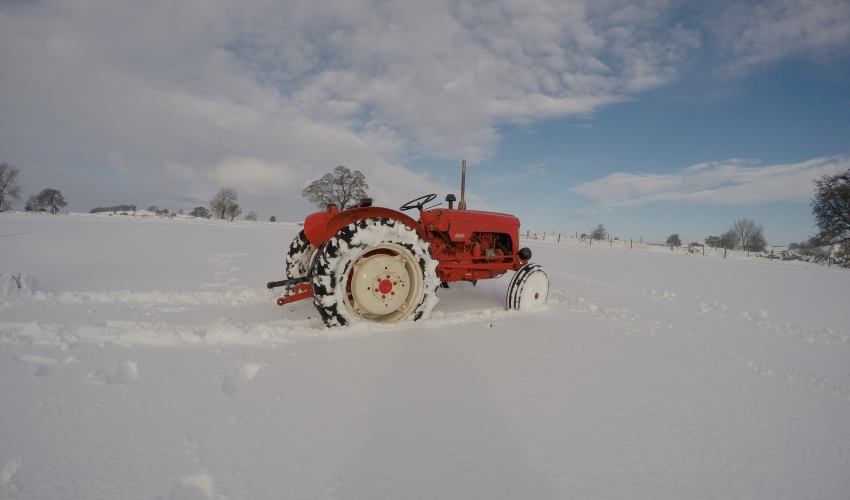 Getting Ready For Winter