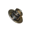 GTS103 - Thermostat (74 deg C)