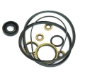18G9006 - Power steering pump seal kit (Perkins)