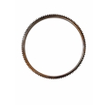 AJR4199 Leyland Flywheel ring gear