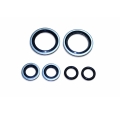 BTJ6200SK seal kit