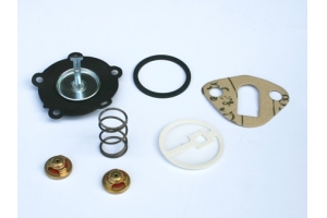 AJR4101 - Fuel pump repair kit (Perkins)