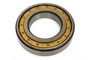 AKU1090 - Final drive bearing