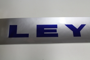 Leyland 2100 decal set - Silver (CTJ3769)