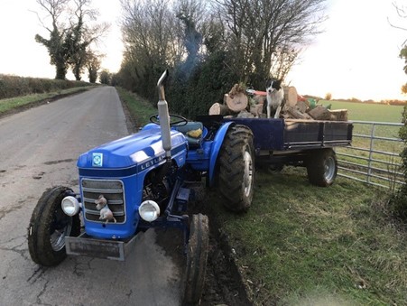 Leyland 154 Pulling Wood and a Dog