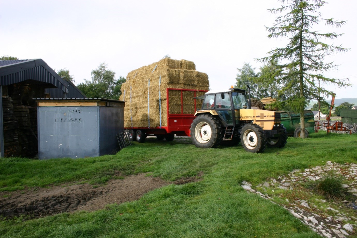 Marshall Pulling Hay in a Field 